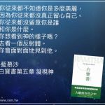 白寶書語錄